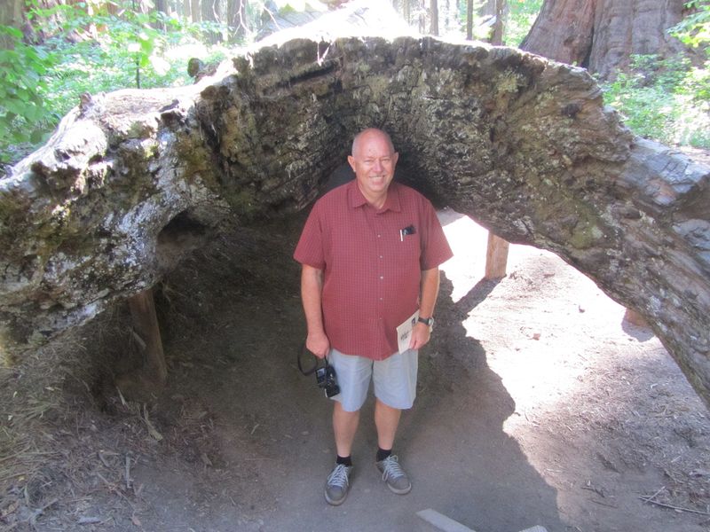 Pete can stand up insde this hollow log